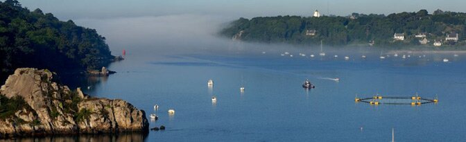 Roche aux oiseaux - Espace naturel sensible Roche aux oiseaux - Espace naturel sensible