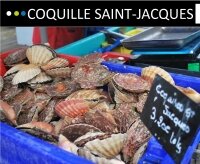 La coquille Saint-jacques La coquille Saint-jacques