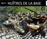 L'huître creuse de la baie de Paimpol L'huître creuse de la baie de Paimpol